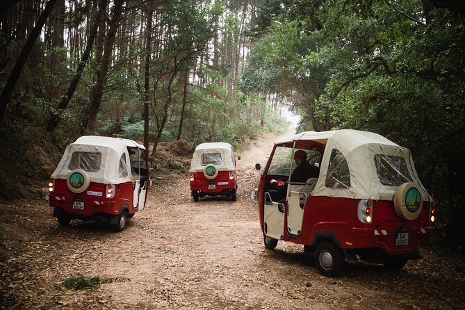 1-Hour Guided Tuk-Tuk Tour in Sintra - Ancient Duck Houses at Park of Pena, calm nature with epic reach