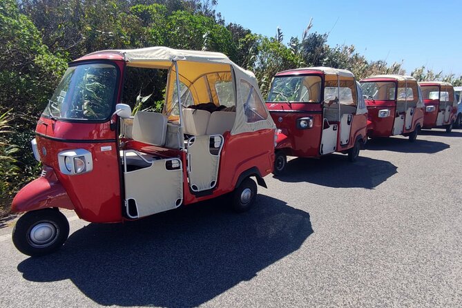 1-Hour Guided Tuk-Tuk Tour in Sintra - Pena Palace and Park, the main attraction in a tight window