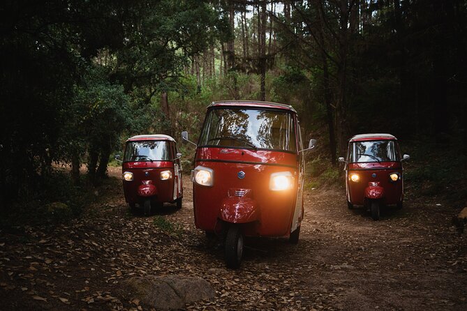 1-Hour Guided Tuk-Tuk Tour in Sintra - Price and value, how to think about the $54.07 per person