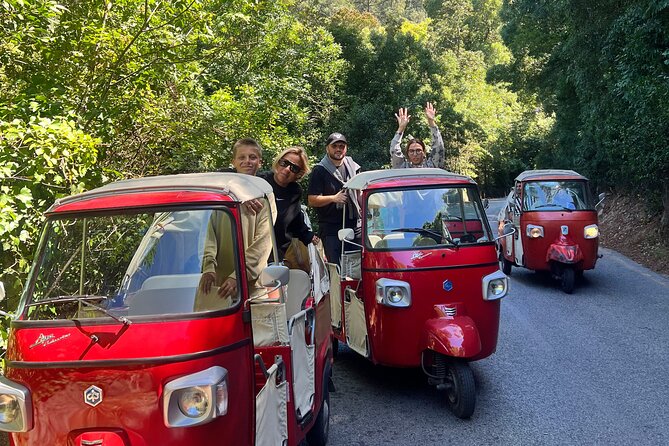1-Hour Guided Tuk-Tuk Tour in Sintra - Sintra National Palace for panoramic snapshots