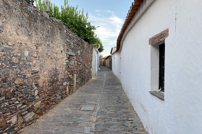 10 Days Private Tour in Portugal - Obidos and Fatima, then Coimbra: medieval walls to baroque library glamour