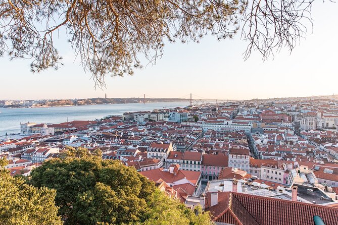 2h TukTuk Private Tour Free Pick-up - Miradouro da Senhora do Monte: your big-view starting point