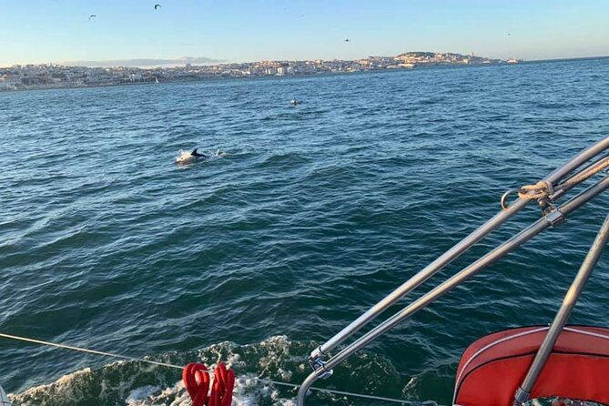 4H Private Luxury Sailboat Tour with Swim - Sightseeing from the water, with breaks that match your mood
