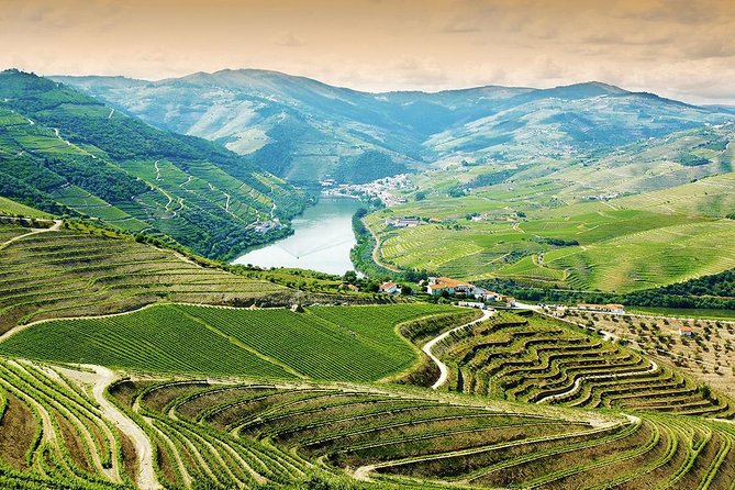 6-Day North Portugal Tour: Porto, Braga, Fátima, Coimbra, Guimaraes, Aveiro and Batalha, from Lisbon - Amarante, Vila Real, Douro Valley, and Lamego: wine country with a shrine stop
