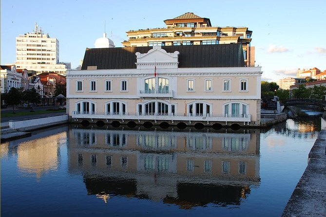 7 Days Private Tour In Portugal from Lisbon - Porto in depth: tiled stations, bookshop stairs, and gold dust church vibes