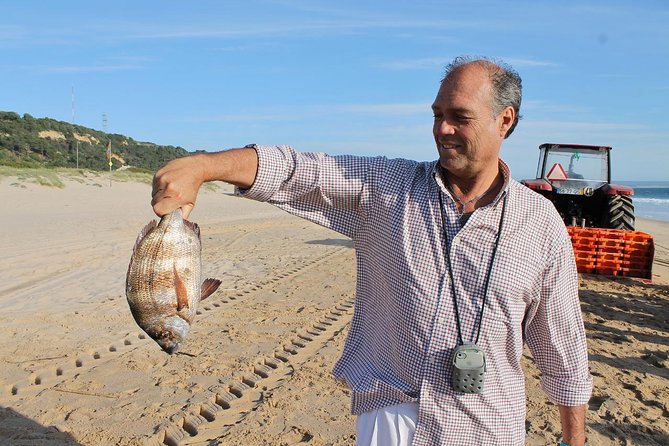A Day of Tastes, Views & Heritage, tour from Lisbon - Palmela lunch from the morning catch, tailored to your taste