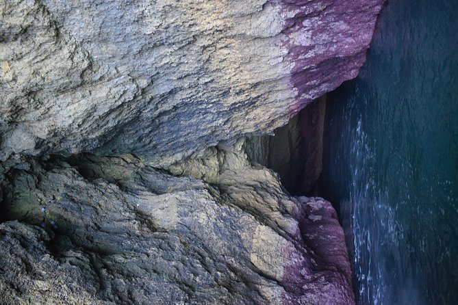 Algarve Beautiful South Coast of Portugal in a Day - Benagil Cave First: The Icon You Can See From the Top or Inside