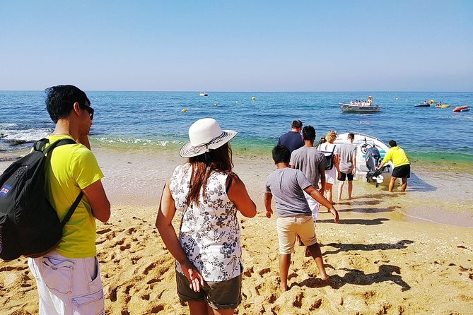 Algarve, Lisbon and Porto in 8 days - Porto day: bridges, São Bento, Lello, and an included port tasting
