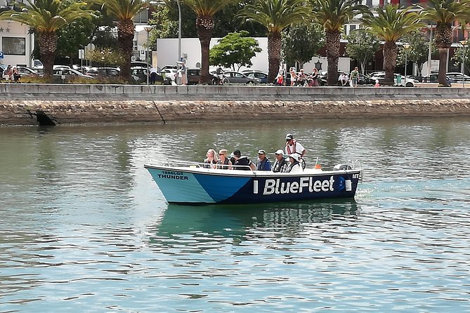 Algarve Private Tour from Lisbon - Ponta da Piedade lighthouse area, then the caves boat ride