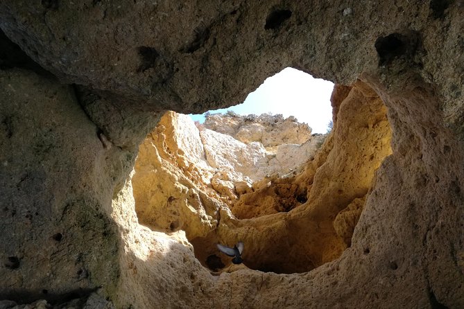 Algarve Private Tour from Lisbon - Hotel pickup, drop-off, and the Mercedes Benz V-Class advantage