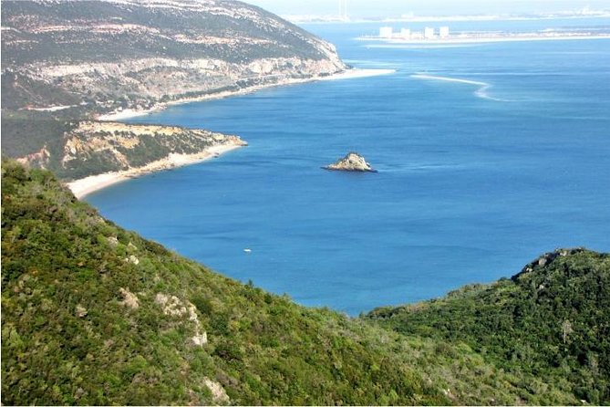 Arrabida and Bacalhoa Wine Tasting Private Tour from Lisbon - Setúbal Seafood Time and the St. Philip Castle View