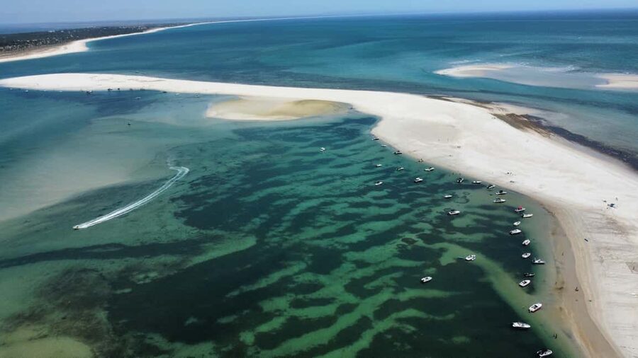 Arrábida: Boat Tour Experience / Lisbon Transfer available - Snorkeling in Clear Water, With Marine Life as the Payoff