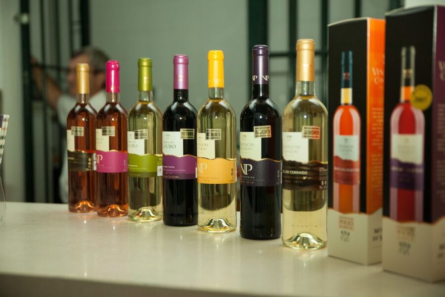 Arrábida: Full-Day Private Tour with Wine Tasting - Price and value for a full private day at $141