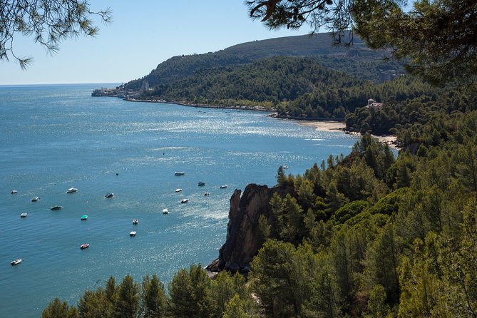 Arrábida: Full-Day Private Tour with Wine Tasting - Cabo Espichel cliffs: church views, an aqueduct, and dinosaur footprints