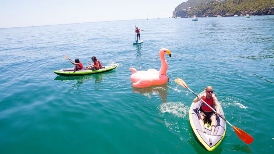 Arrábida Full-Day Yacht Tour from Lisbon - Dolphins, birds, and how to make the most of the watch