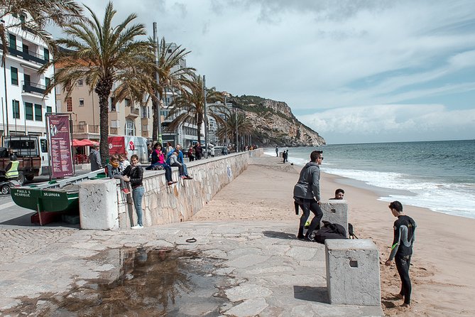 Arrábida Natural Park and Sesimbra Day Trip from Lisbon - Casa da Baía: the resident dolphin learning stop that adds depth