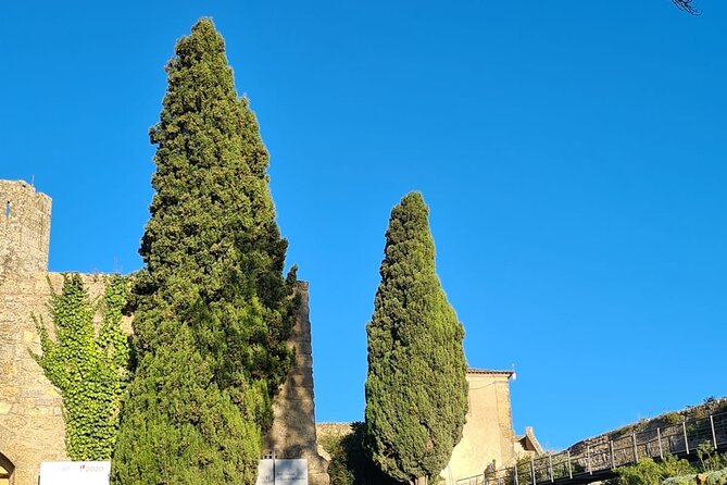 Arrábida: Private Setubal Highlights Tour (Full Day) - A Lisbon Pickup and a Full-Day Setúbal Rhythm