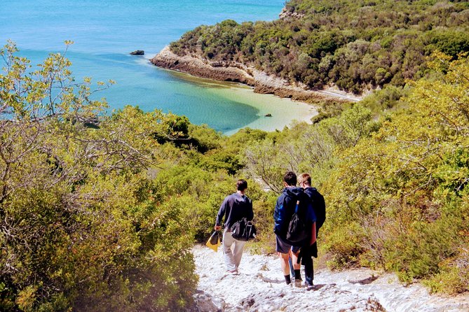 Arrábida Snorkeling Adventure with Transfer from Lisbon - The 8:00 am start at Sete Rios, and how the day usually runs