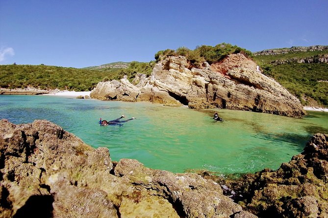 Arrábida Snorkeling Adventure with Transfer from Lisbon - Beaches and coastal viewpoints: why this part matters