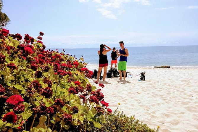 Arrábida Snorkeling Adventure with Transfer from Lisbon - Who should book this Arrábida snorkel trek, and who should skip it