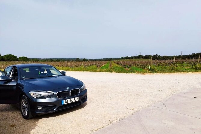 Arrábida Wine Tour - 3 Wineries, Traditions & Views from Lisbon - Key highlights worth building your day around