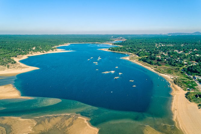 Arrabida Wine Tour from Lisbon: Wineries, Tastings & Tile Factory - Key highlights you should care about