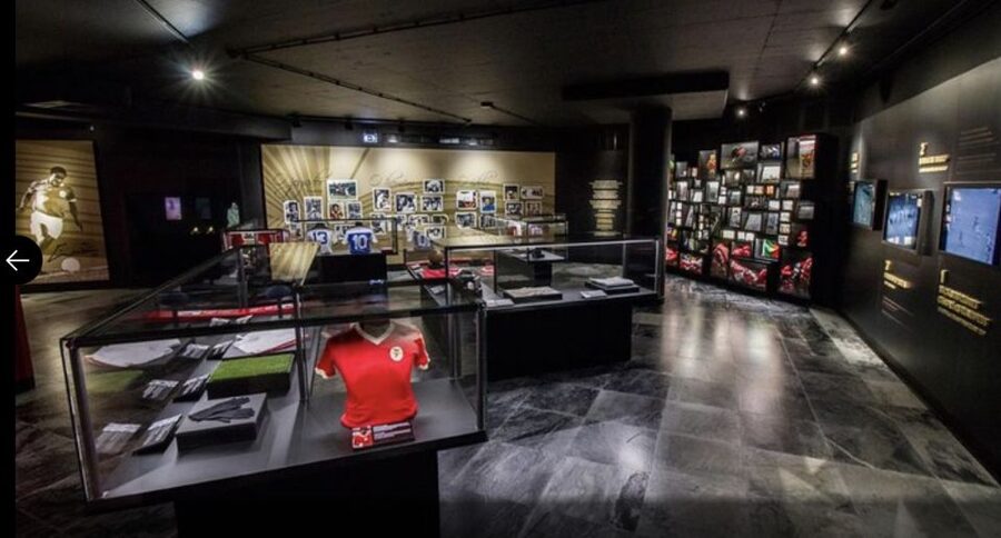 Benfica Stadium and Museum Tour - Hotel pickup plus the kind of access you cannot easily DIY