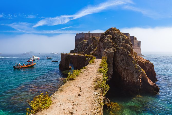 Berlenga Island Full Day Tour from Lisbon - Price and value: what $139.63 buys you in the real world