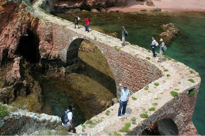 Berlenga Island Small-Group Day Trip from Lisbon - 4 hours on Berlenga Grande: swimming, snorkeling, and a cold-water reality