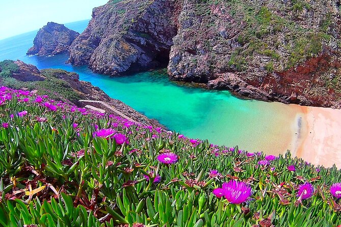 Berlengas Island Catamaran Tour - Round Trip - Why Berlengas is such a strong half-day escape from Peniche