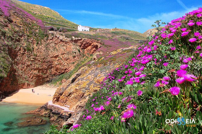 Berlengas Island Catamaran Tour - Round Trip - Round-trip timing and the real impact of sea conditions