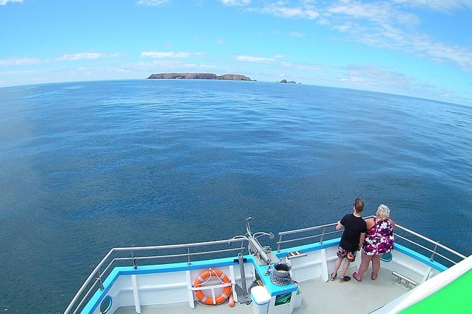 Berlengas Island Catamaran Tour - Round Trip - Boat views and underwater viewing: how the glass-bottom promise works