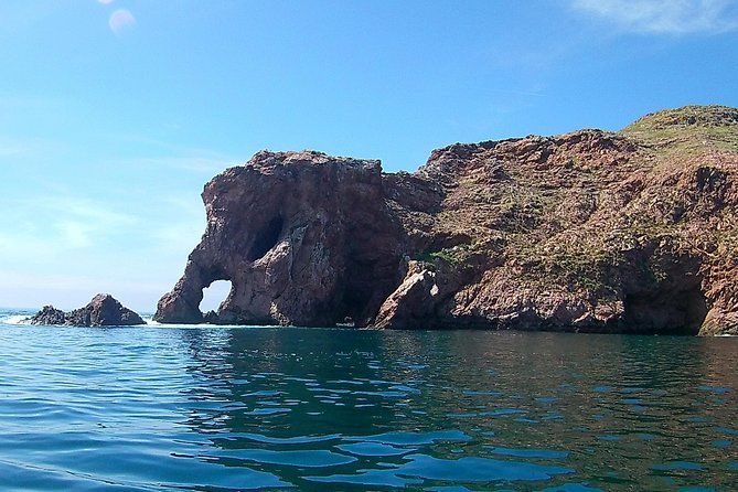 Berlengas Island Catamaran Tour - Round Trip - Wildlife spotting tips that don’t require luck