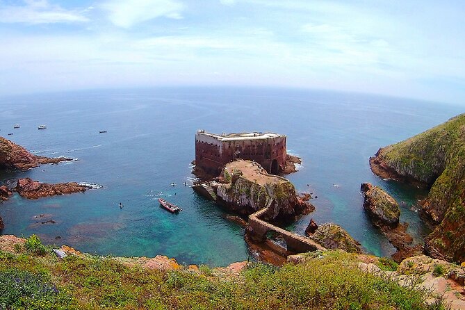 Berlengas Island Catamaran Tour - Round Trip - Price and value: what $54.01 really covers