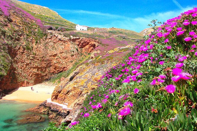 Berlengas Island Catamaran Tour + Snorkeling - Who this tour is best for
