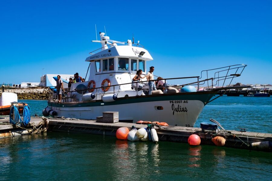 Berlengas The Atlantic Frontier: Day Tour from Lisbon - Snorkeling and beach time: calm water, provided gear, and optional lunch