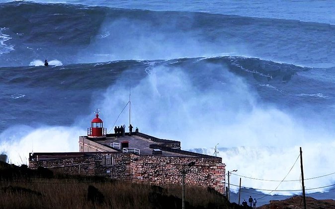 Berlengas Tour - Key highlights that make this trip worth your day