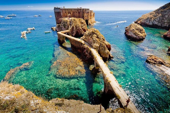 Berlengas Tour - Berlenga Grande and the nature reserve: wind, wildlife, and rocky drama
