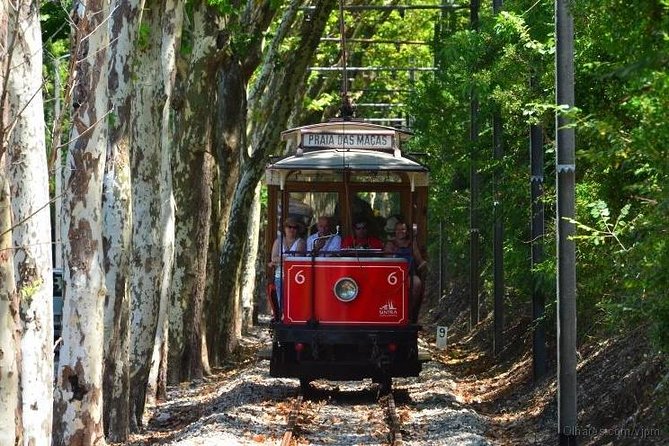 Best Of Lisbon Semi-Private Tour - Bairro Alto: 30 Minutes and Included Admission, Done Right