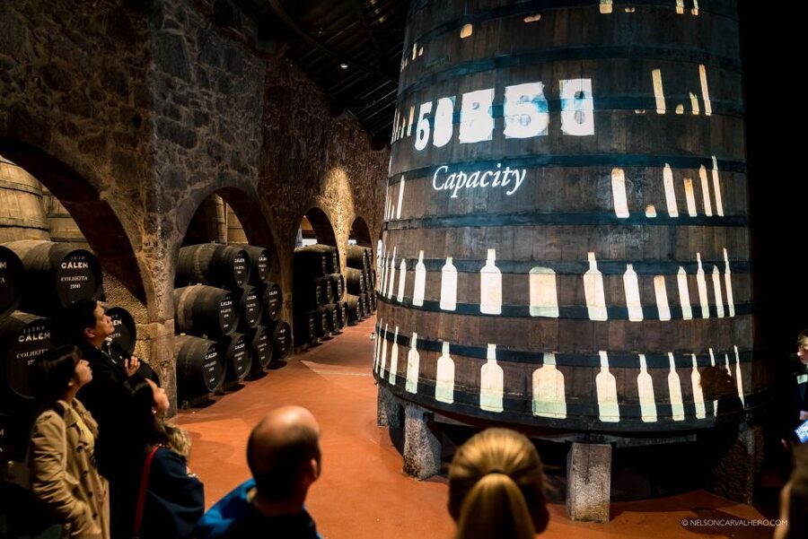 Best of Porto - Private Tour from Lisbon - Downtown Porto and Livraria Lello: the Harry Potter connection, handled smart