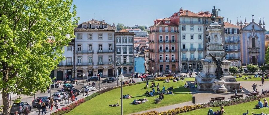 Best of Porto - Private Tour from Lisbon - Wheelchair accessible and built for different needs
