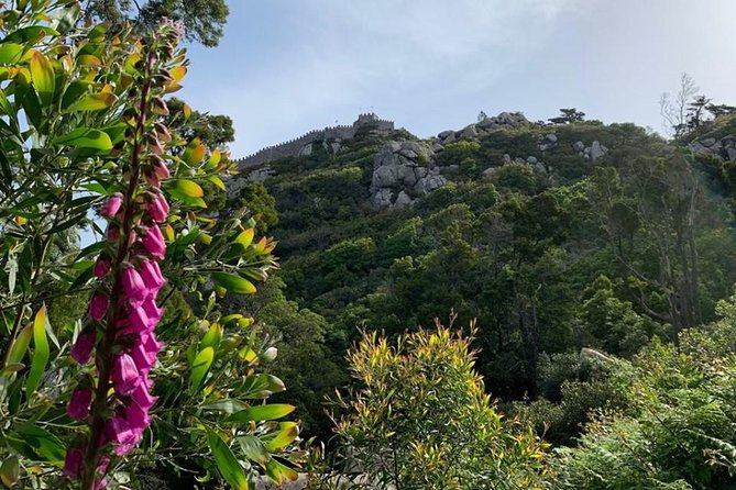 Best Of Sintra & Cascais with Locals - Price and value: is $219.56 per person a smart deal?