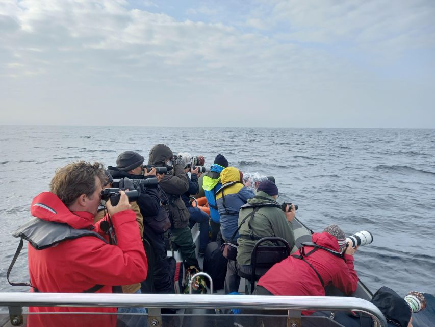 Birdwatching Boat Tour in the Tagus Estuary - Stops and views: photo moments that do not feel random