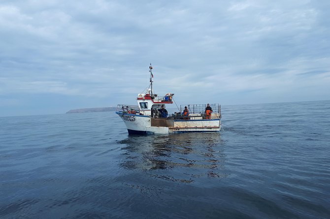 Boat and Kayak at Berlenga Natural Reserve - Lisbon to Peniche, a Portugal day trip that starts fast
