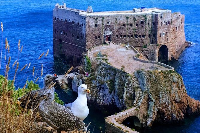 Boat and Kayak at Berlenga Natural Reserve - What to pack for a comfortable Berlenga day
