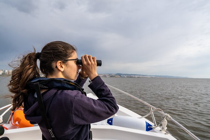 Boat Tour - Bird Observation in the Tejo Nature Reserve - Small group magic: max 10 travelers means less noise and more attention
