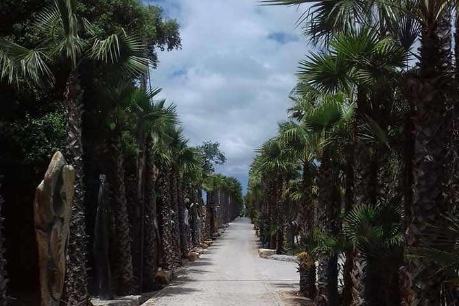 Buddha Eden Garden and Óbidos village in Portugal (70km of Lisbon) - Should you book this tour?