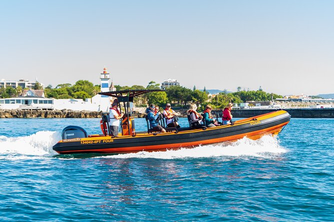 Cascais coast: Dolphin watching - Key points to know before you go