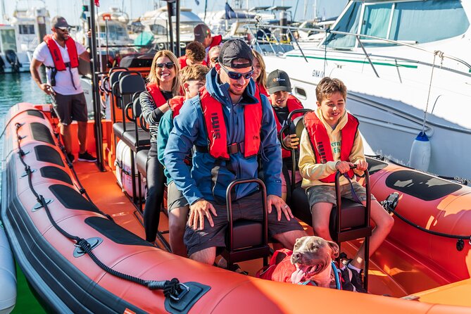 Cascais coast: Dolphin watching - Who should book this dolphin watching trip?