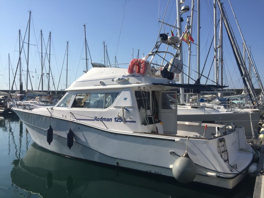 Cascais Deep-Sea Fishing Trip - Price and Value: Does $104 Make Sense?